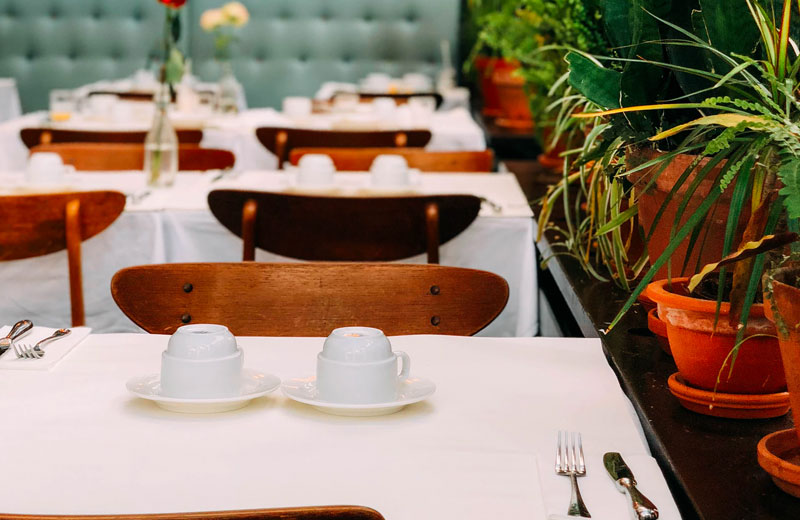 Free website template by 